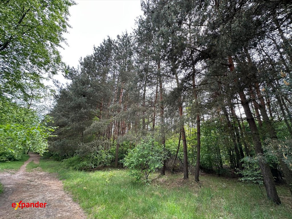 Działka pod rezydencję w Wyczerpy, 10 685 m², las, media Częstochowa, Kontkiewicza  10 685m2 Foto 1