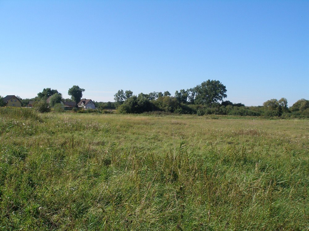 Działka budowlana na sprzedaż Czarna Łąka  1 500m2 Foto 4