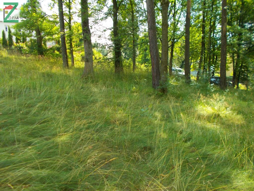 Działka przemysłowo-handlowa na sprzedaż RABKA-ZDRÓJ 1 600m2 Foto 1 Działka przemysłowo-handlowa na sprzedaż RABKA-ZDRÓJ 1 600m2 Foto 1