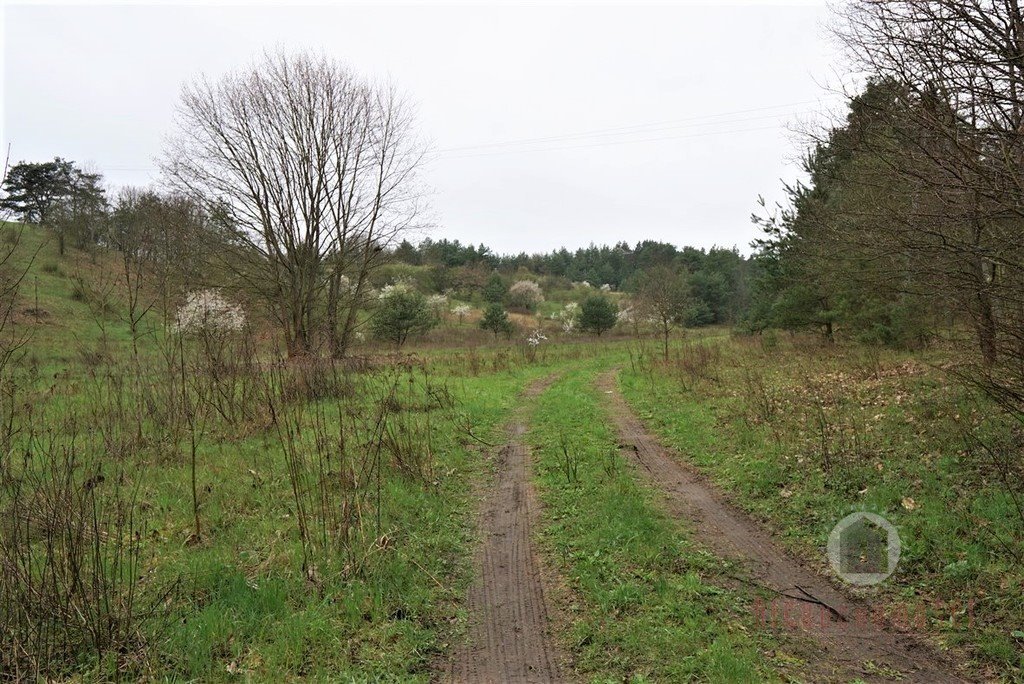 Działka 4000 m² przy drodze wojewódzkiej z warunkami zabudowy Łęgowo  4 000m2 Foto 1