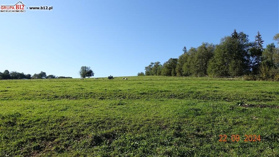 Działka budowlana na sprzedaż Ciche, Ciche, Ciche  1 412m2 Foto 8