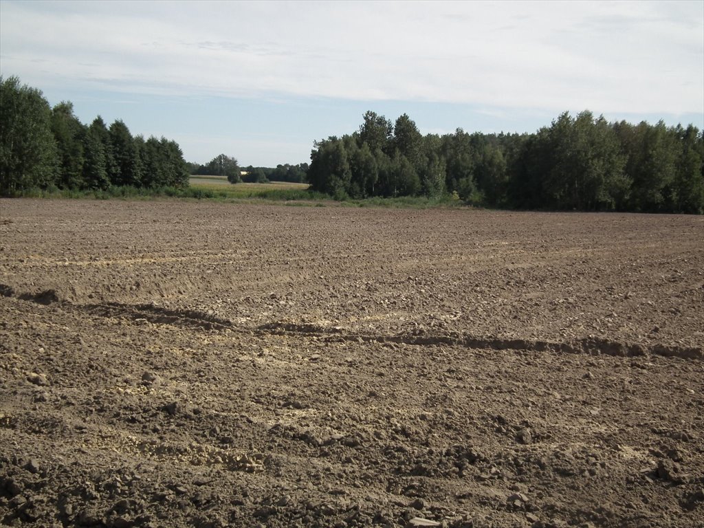 Działka rolna na sprzedaż Gaj, Gaj  35 400m2 Foto 3