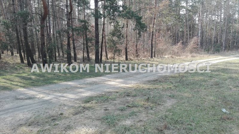 Działka leśna na sprzedaż Skierniewice 8 837m2 Foto 1 Działka leśna na sprzedaż Skierniewice 8 837m2 Foto 1