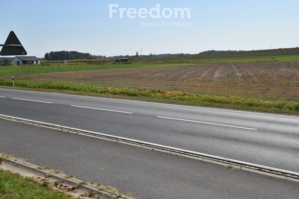 Działka budowlana na sprzedaż Kamienna  6 100m2 Foto 5