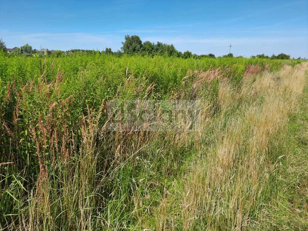 Na sprzedaż działka budowlana 1497 m² z mediami w Michałowicach Michałowice-Wieś  1 497m2 Foto 1