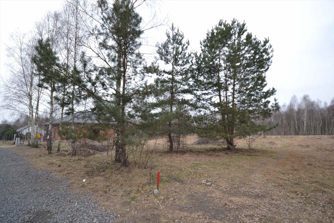 Działka budowlana na sprzedaż Częstochowa, Konwaliowa  1 061m2 Foto 9