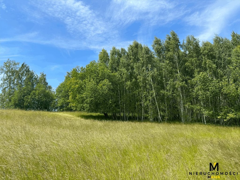 Działka leśna na sprzedaż Sianożęty, Kukinka  119 847m2 Foto 9