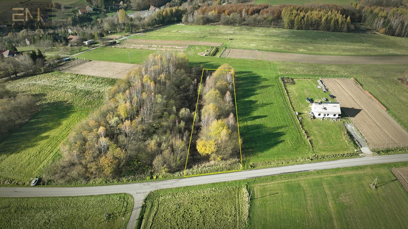 Działka 1900 m² pod domek letniskowy, drzewa, widokowa Niewodna  1 900m2 Foto 1