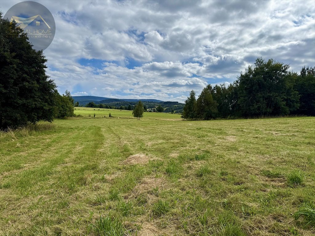 Działka budowlana na sprzedaż Michałkowa  4 025m2 Foto 1