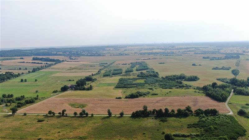 Działka inna na sprzedaż Sulimice, Sulimice  32 600m2 Foto 5