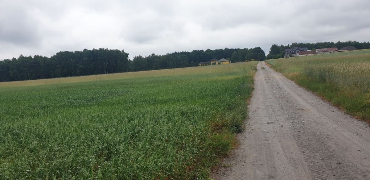 Działka budowlana na sprzedaż Wola Pasikońska, Wola Pasikońska  10 300m2 Foto 4