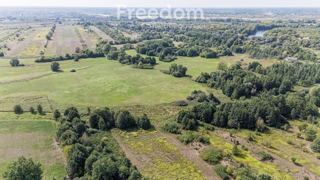 Działka rolna na sprzedaż Ostrówiec  3 924m2 Foto 13