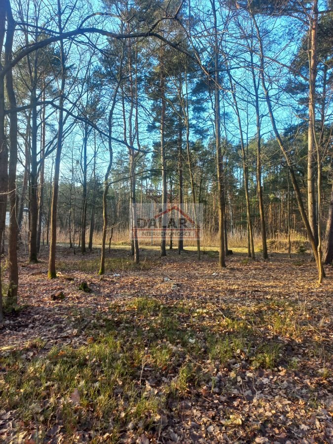 Działka budowlana na sprzedaż Laski  1 250m2 Foto 2