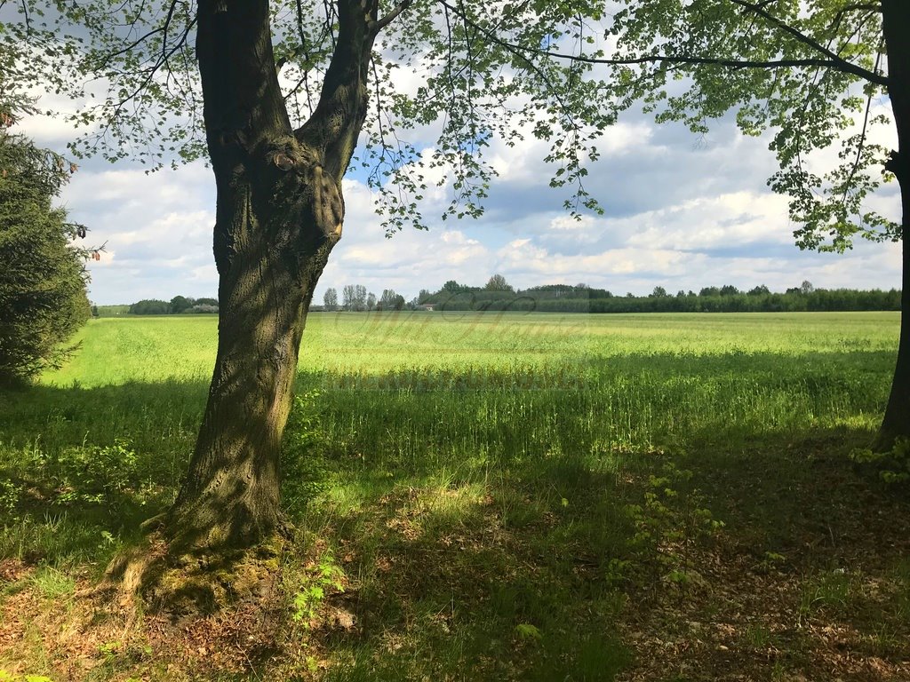 Polecam działkę siedliskową 18 314 m² z mediami w Zatorze Zator  18 314m2 Foto 1