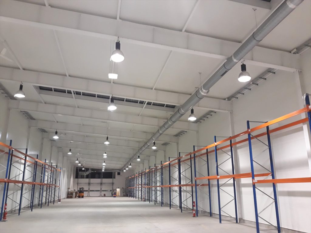 Lokal użytkowy na wynajem Nysa 1 780m2 Foto 1 Lokal użytkowy na wynajem Nysa 1 780m2 Foto 1