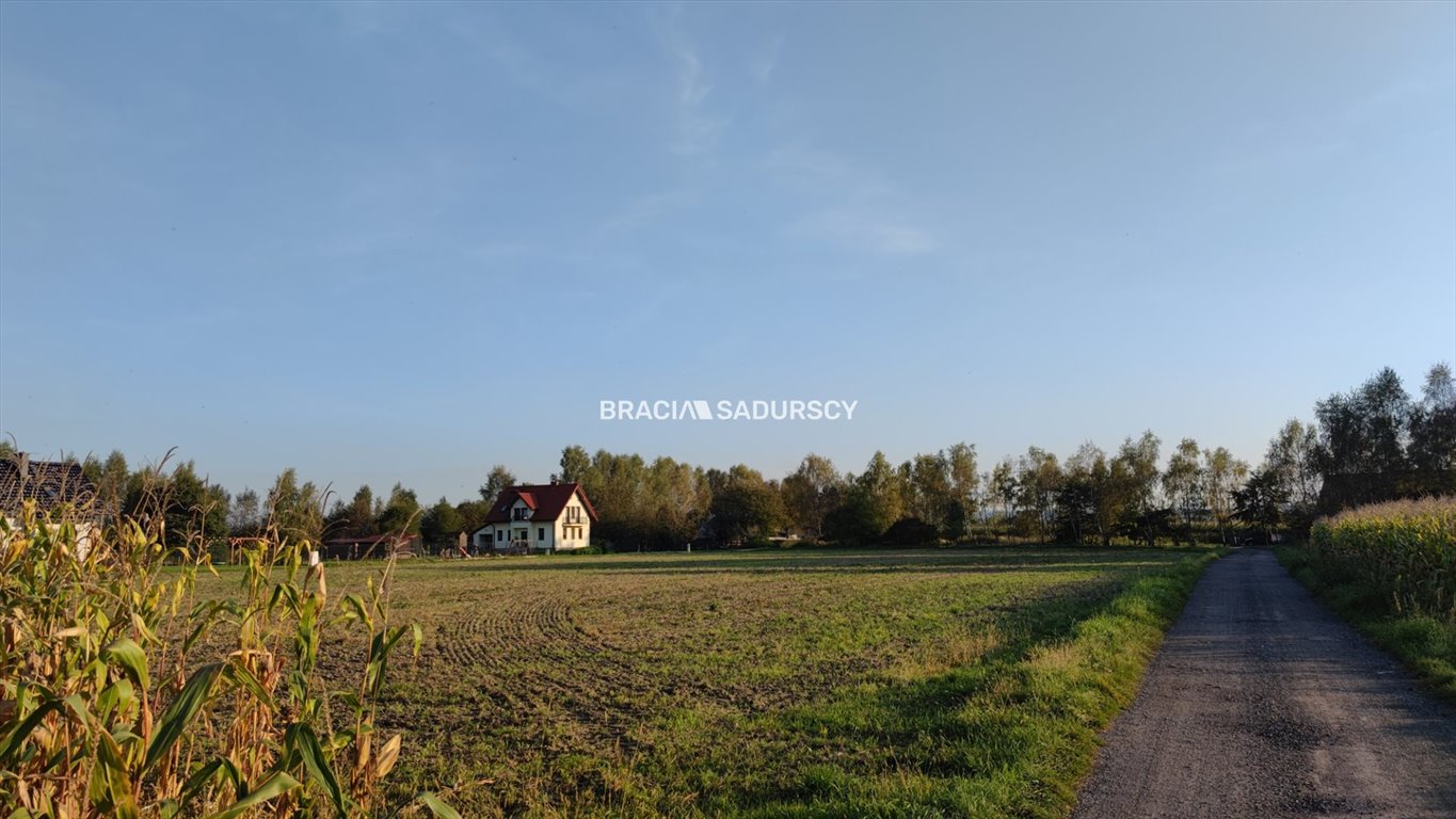 Działka budowlana na sprzedaż Wołowice  2 500m2 Foto 8