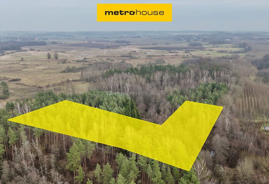Działka leśna 18 558 m² w sercu Pojezierza Iławskiego Boreczno  18 558m2 Foto 1