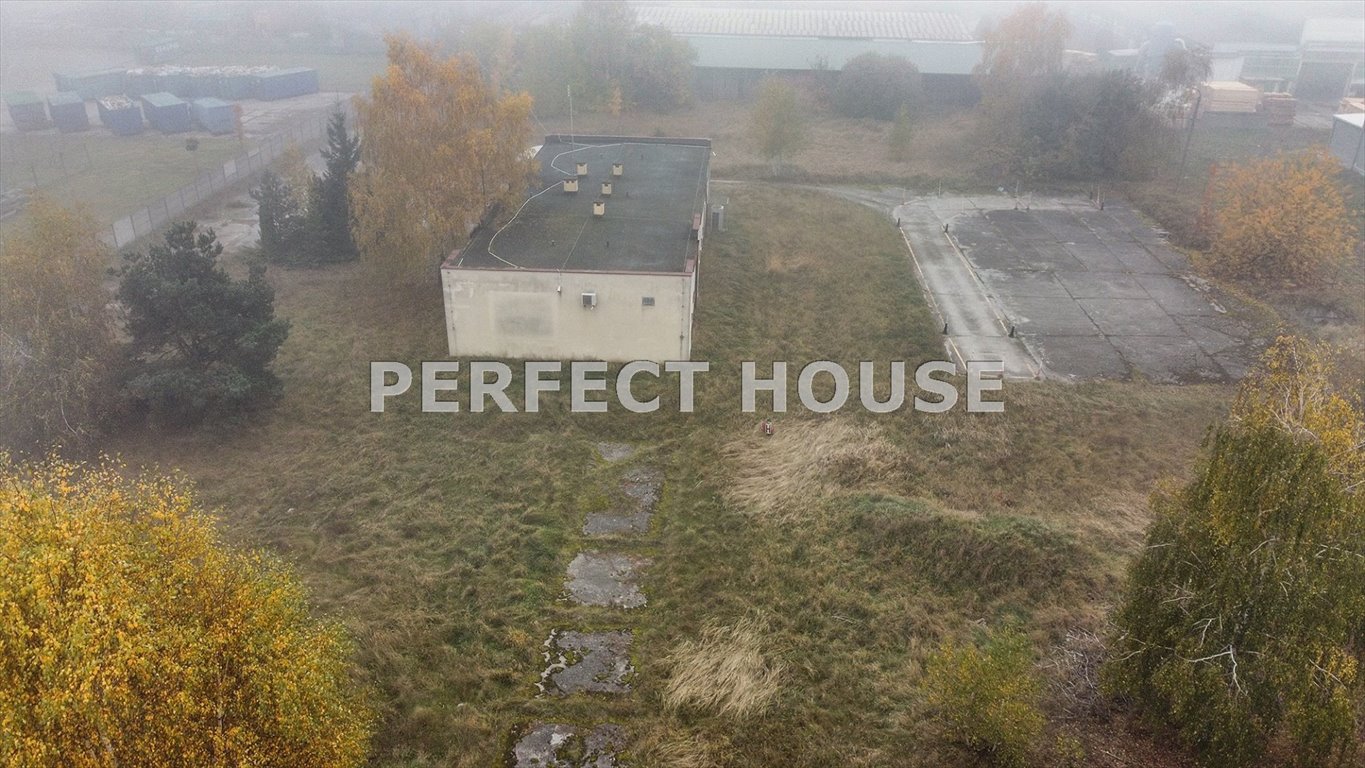 Działka przemysłowo-handlowa na sprzedaż Paterek  10 682m2 Foto 3