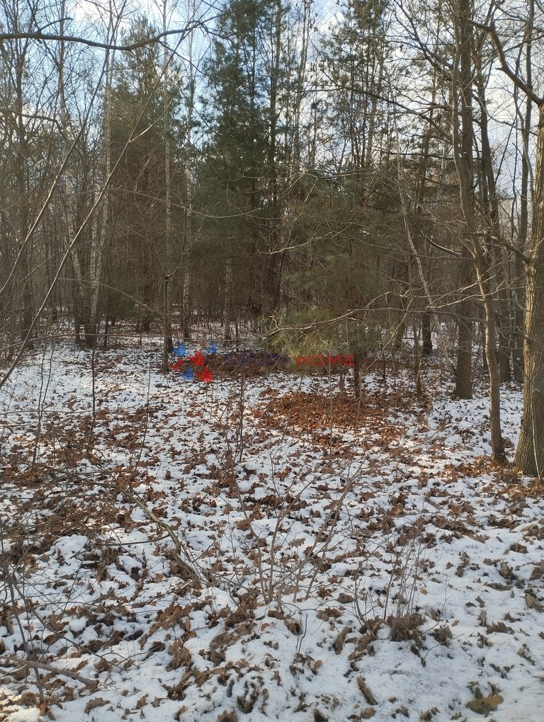 Działka budowlana na sprzedaż Konstancin-Jeziorna  500m2 Foto 2