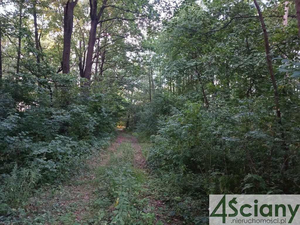 Działka budowlana na sprzedaż Biernik  16 000m2 Foto 2