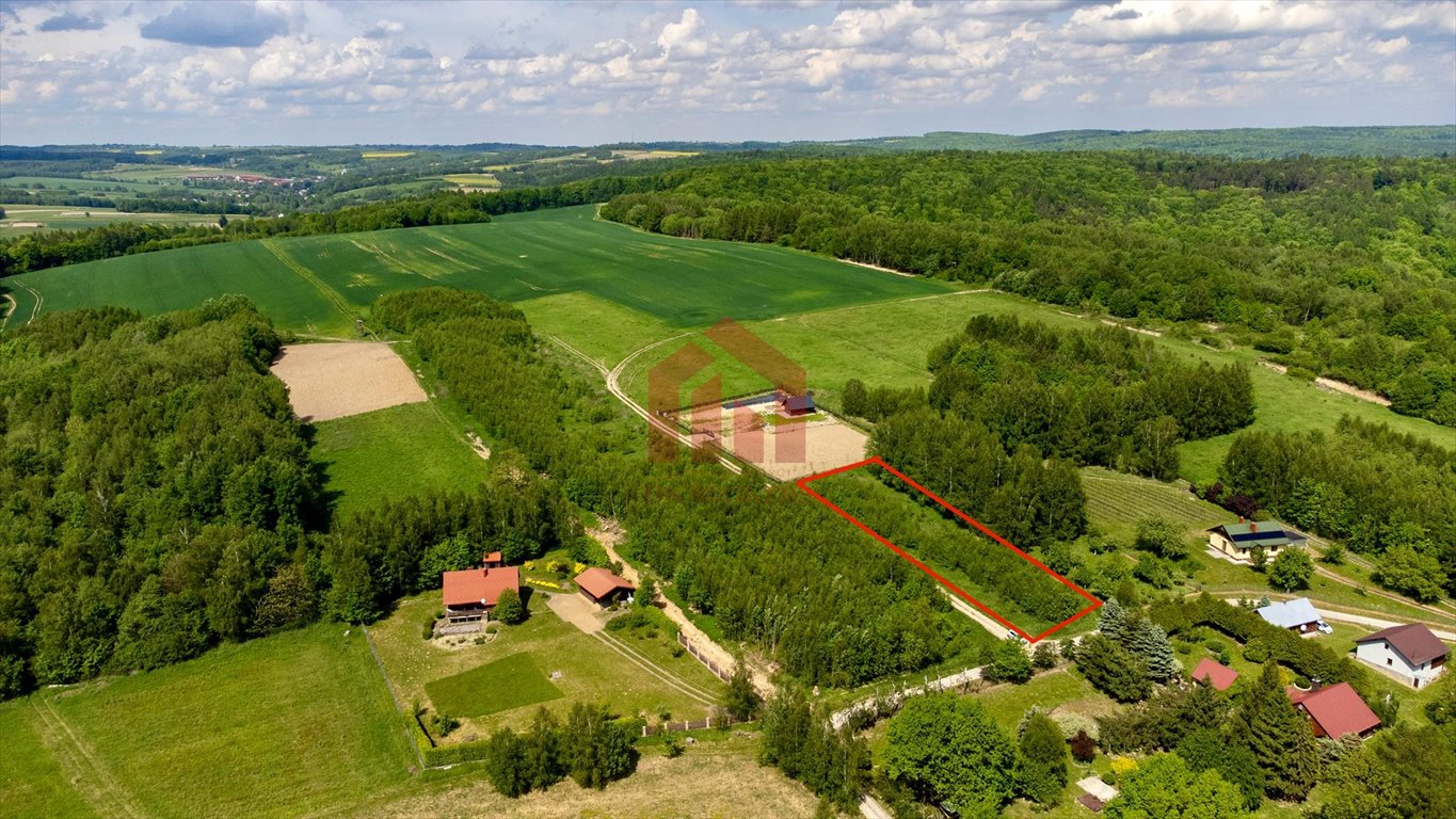 Działka rolna na sprzedaż Hadle Kańczuckie  1 750m2 Foto 1