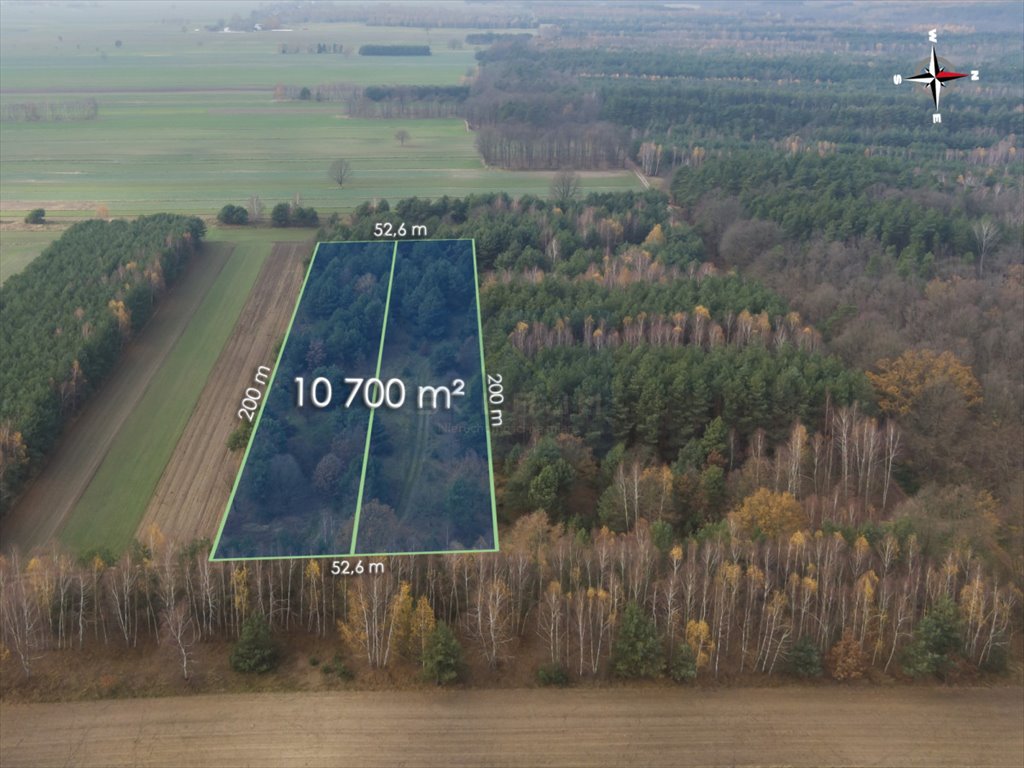 Działka leśna na sprzedaż Jedlno Pierwsze  10 700m2 Foto 1