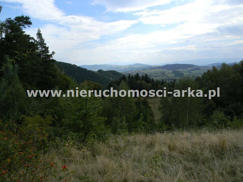 Działka budowlana na sprzedaż Limanowa 4 100m2 Foto 1 Działka budowlana na sprzedaż Limanowa 4 100m2 Foto 1
