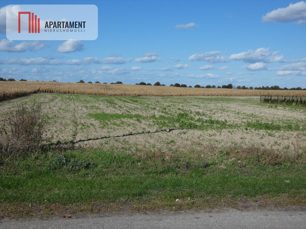 Działka budowlana na sprzedaż Żnin  900m2 Foto 6