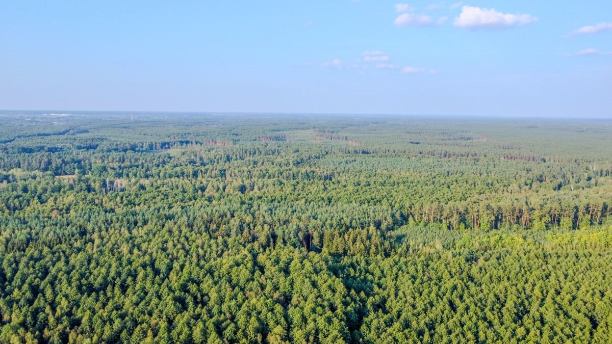 Działka budowlana na sprzedaż Tumanek  1 003m2 Foto 6