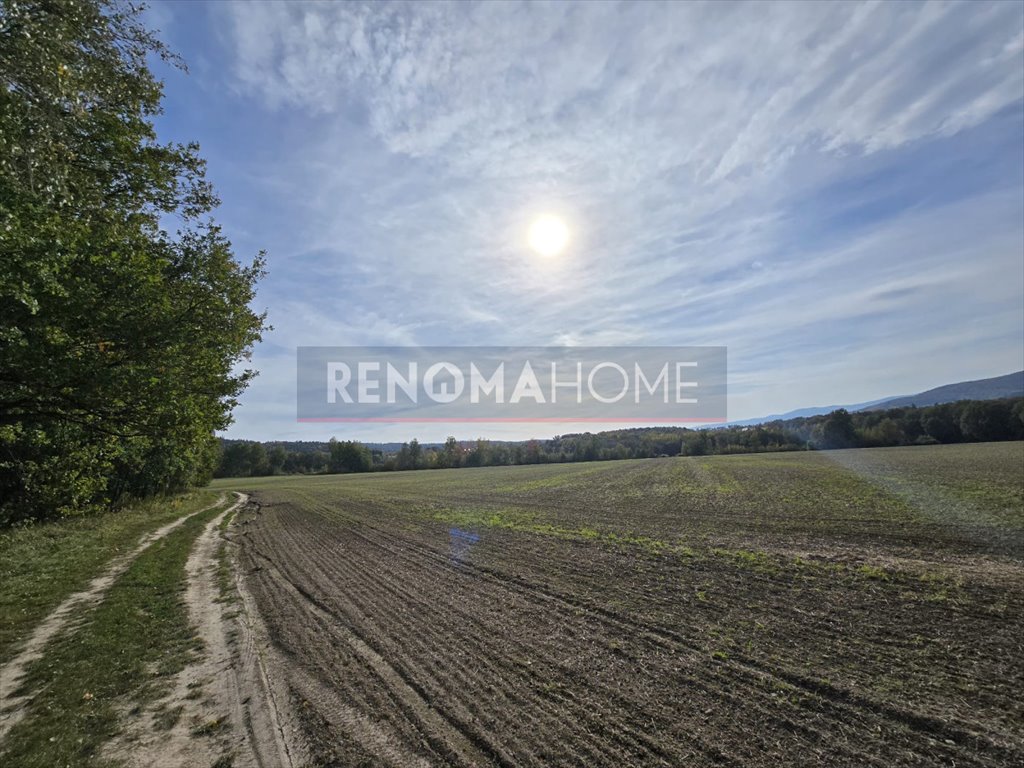 Działka gospodarstwo rolne na sprzedaż Sobótka, Tąpadła  90 500m2 Foto 10