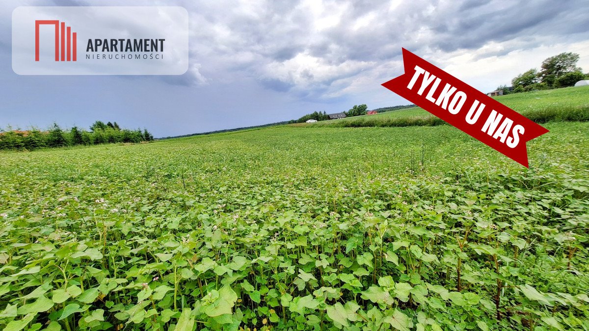 Działka budowlana na sprzedaż Garczyn  4 130m2 Foto 8