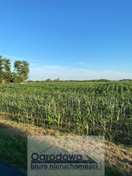 Działka inwestycyjna na sprzedaż Kłudno Stare  11 800m2 Foto 2