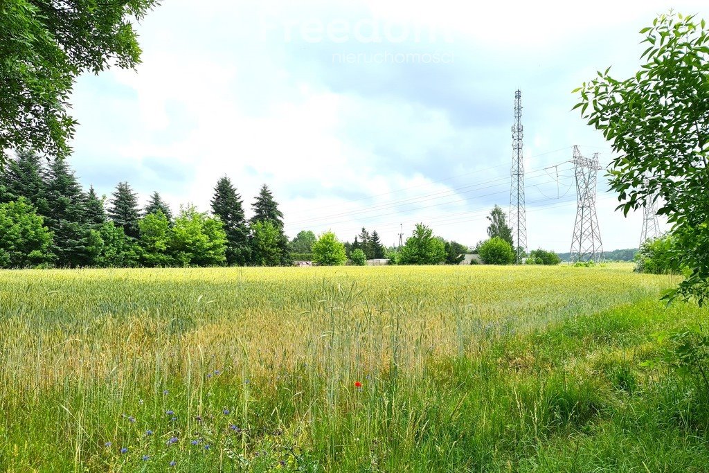 Działka komercyjna na sprzedaż Międzyrzec Podlaski, Brzeska  24 800m2 Foto 1