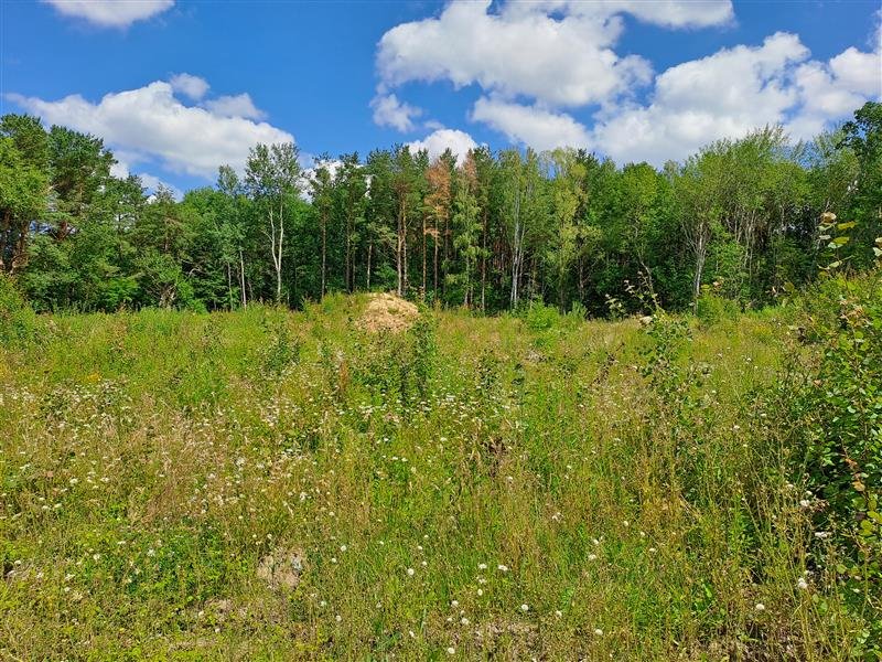 Działka przemysłowo-handlowa na sprzedaż Słupsk, xxx  45 300m2 Foto 5