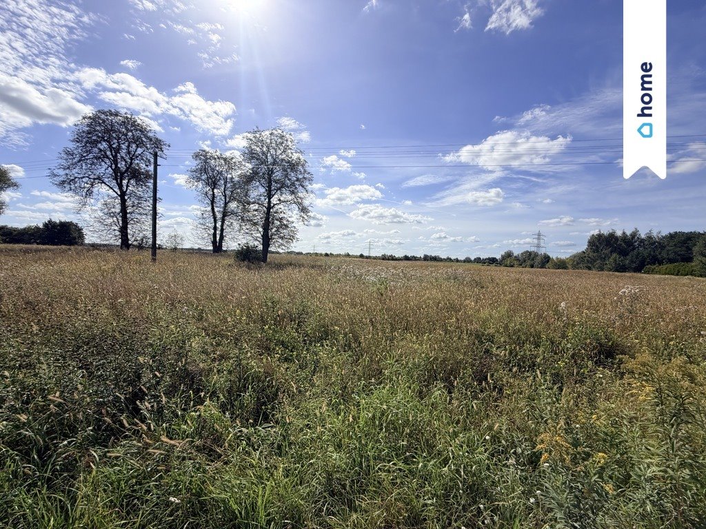Sprzedam dużą działkę rolną 43 300 m² w Marianowie Marianów  43 300m2 Foto 1