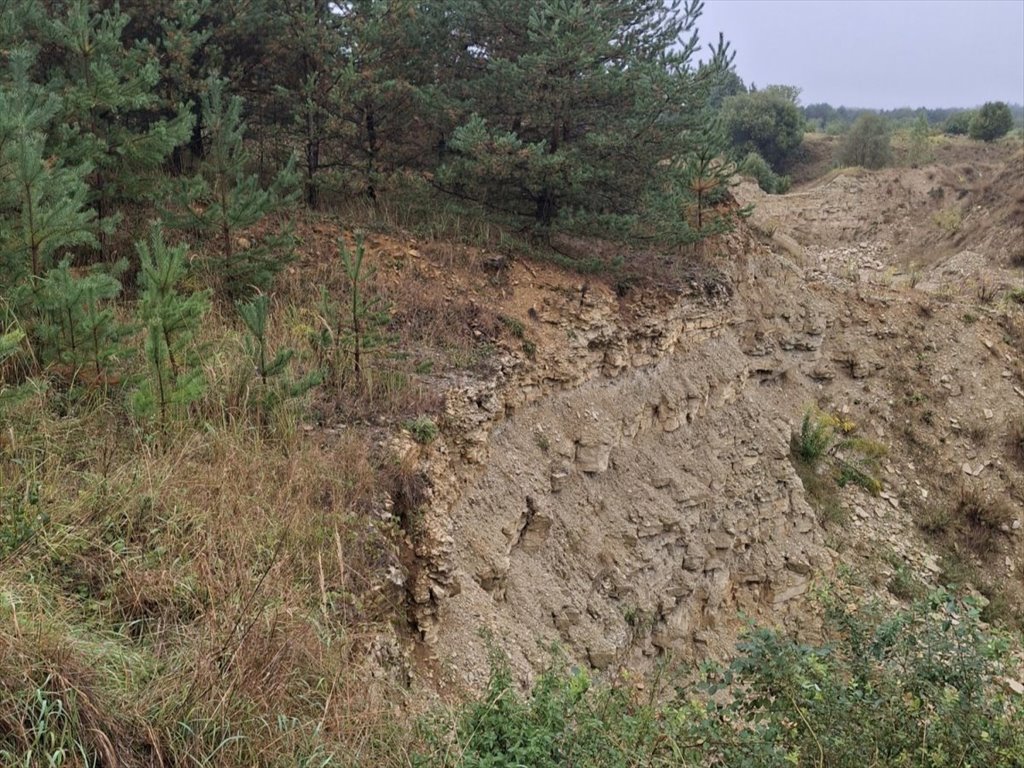 Działka inwestycyjna na sprzedaż Miasteczko Śląskie, Żyglin  4 027m2 Foto 19