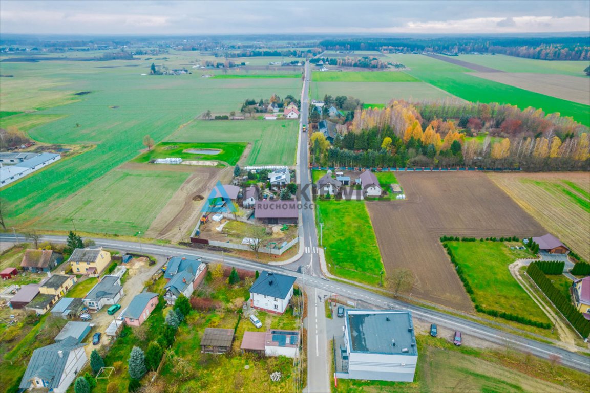 Działka budowlana na sprzedaż Łubna  7 700m2 Foto 7