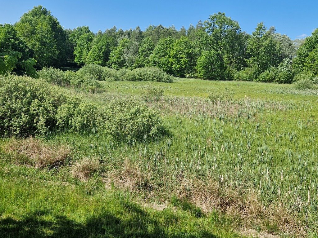 Działka budowlana na sprzedaż Szarłata, Spadzista  15 977m2 Foto 9