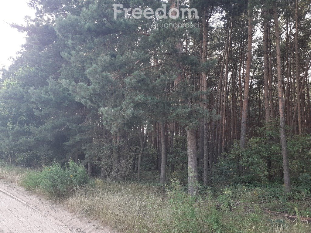 Działka leśna na sprzedaż Ciechocinek  20 573m2 Foto 2