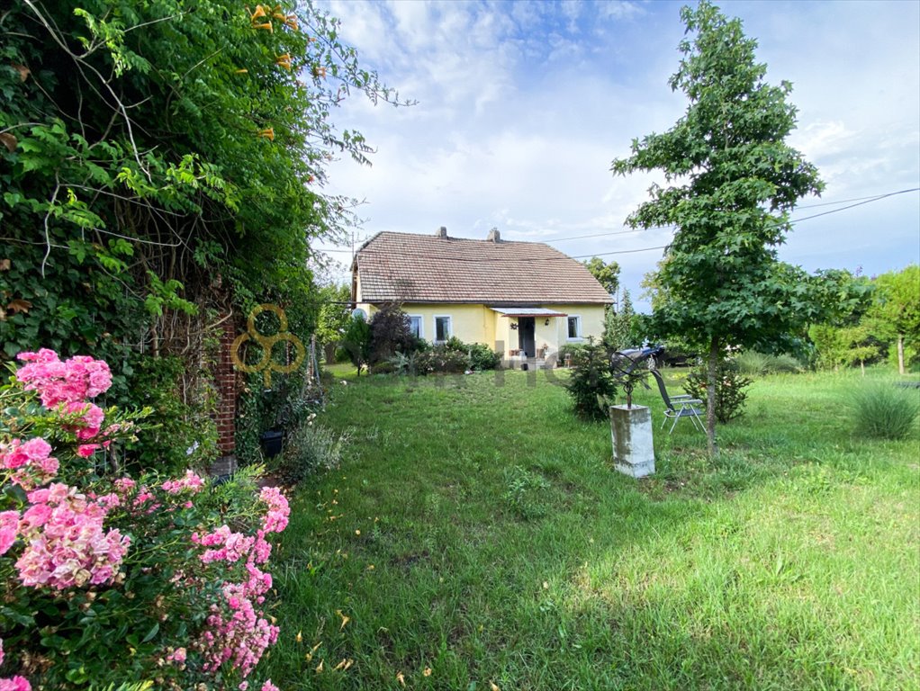 Dom wolnostojący na 17-arowej działce w Brzeziu k. Sulechowa Brzezie k. Sulechowa  145m2 Foto 1