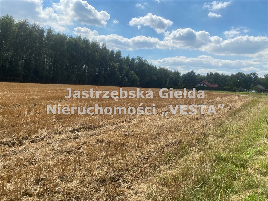 Działka budowlana na sprzedaż Pielgrzymowice  8 967m2 Foto 1