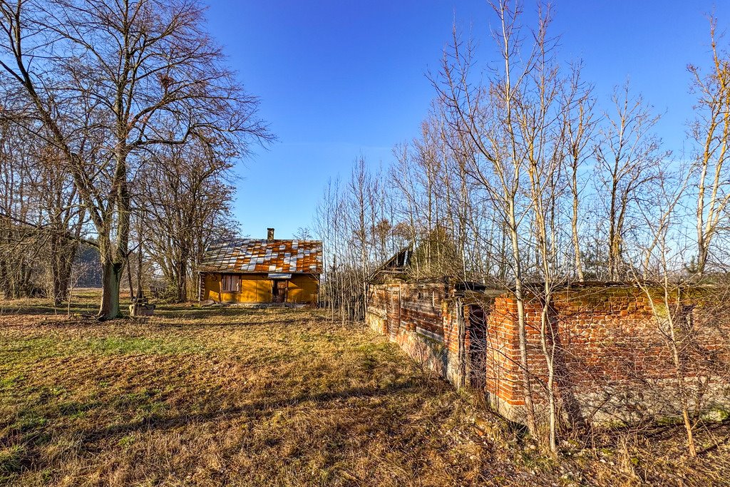 Działka siedliskowa na sprzedaż Borki  101 600m2 Foto 9