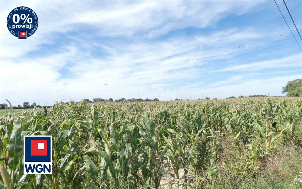 Działka budowlana na sprzedaż Ostrów Wielkopolski, Lewkowiec, Lewkowiec  2 504m2 Foto 1