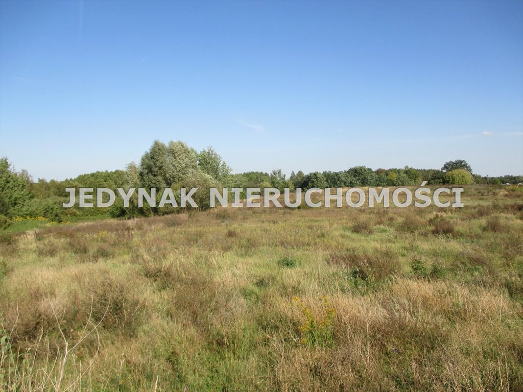 Zapraszam do zakupu dużej działki 5471 m² w Łochowicach Łochowice  5 471m2 Foto 1