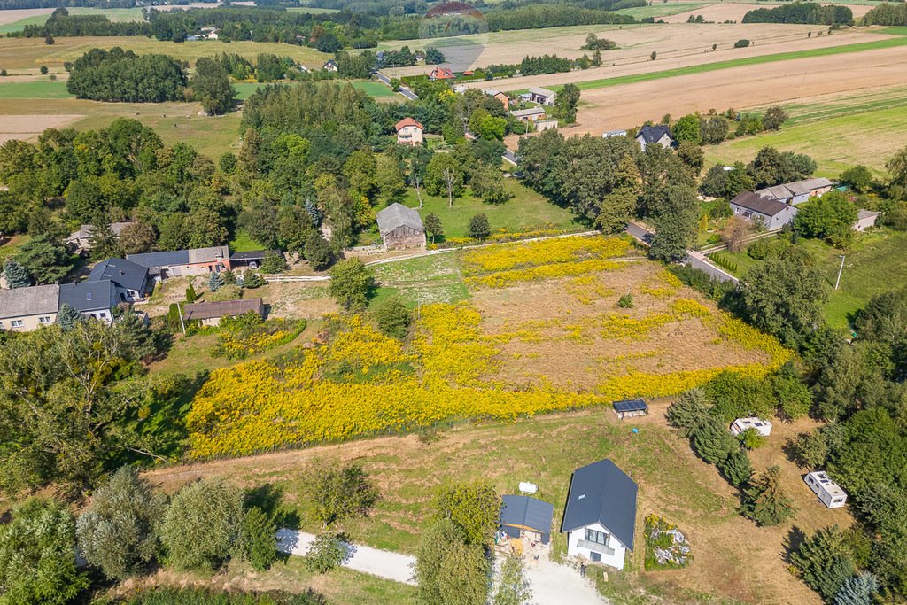 Działka budowlana na sprzedaż Moskwa  2 000m2 Foto 2