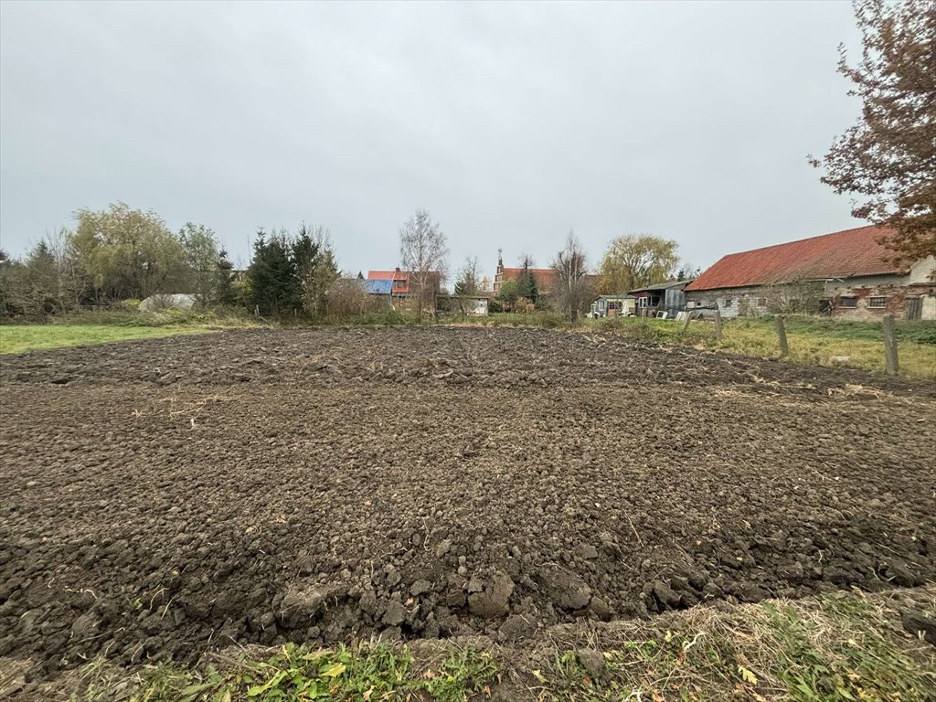 Działka budowlana na sprzedaż Malbork, Miłoradz  2 598m2 Foto 7