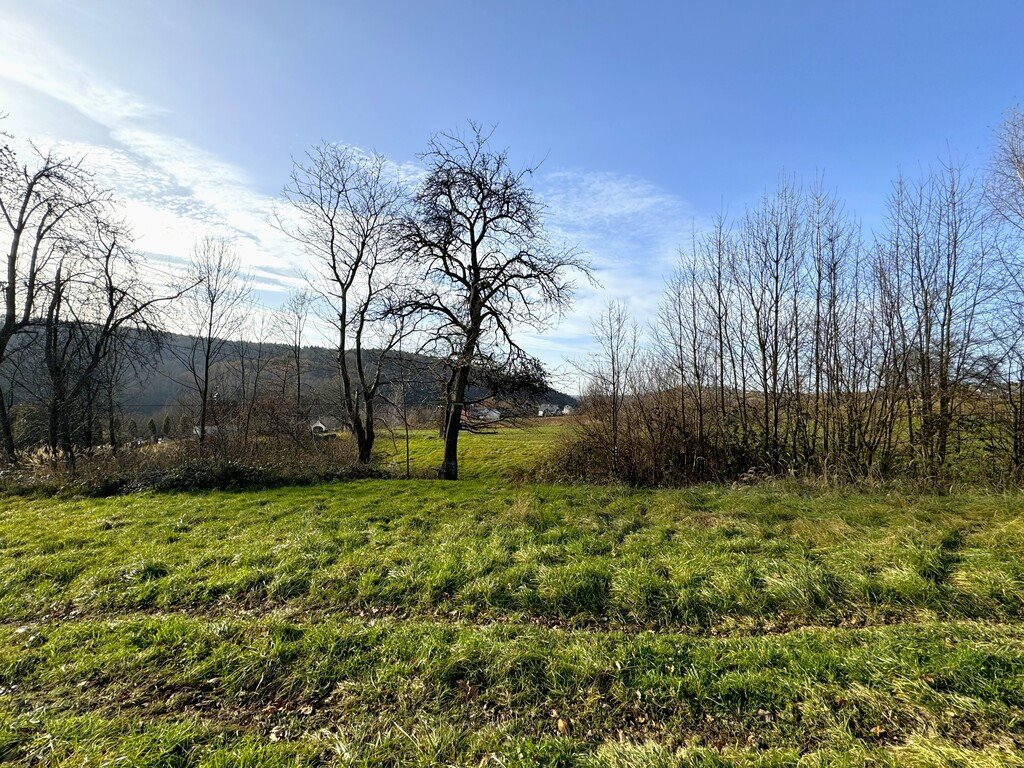 Działka budowlana na sprzedaż Cichawka  11 934m2 Foto 5