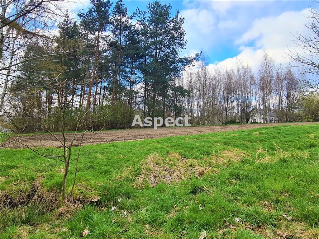 Działka budowlana na sprzedaż Godów  2 900m2 Foto 1