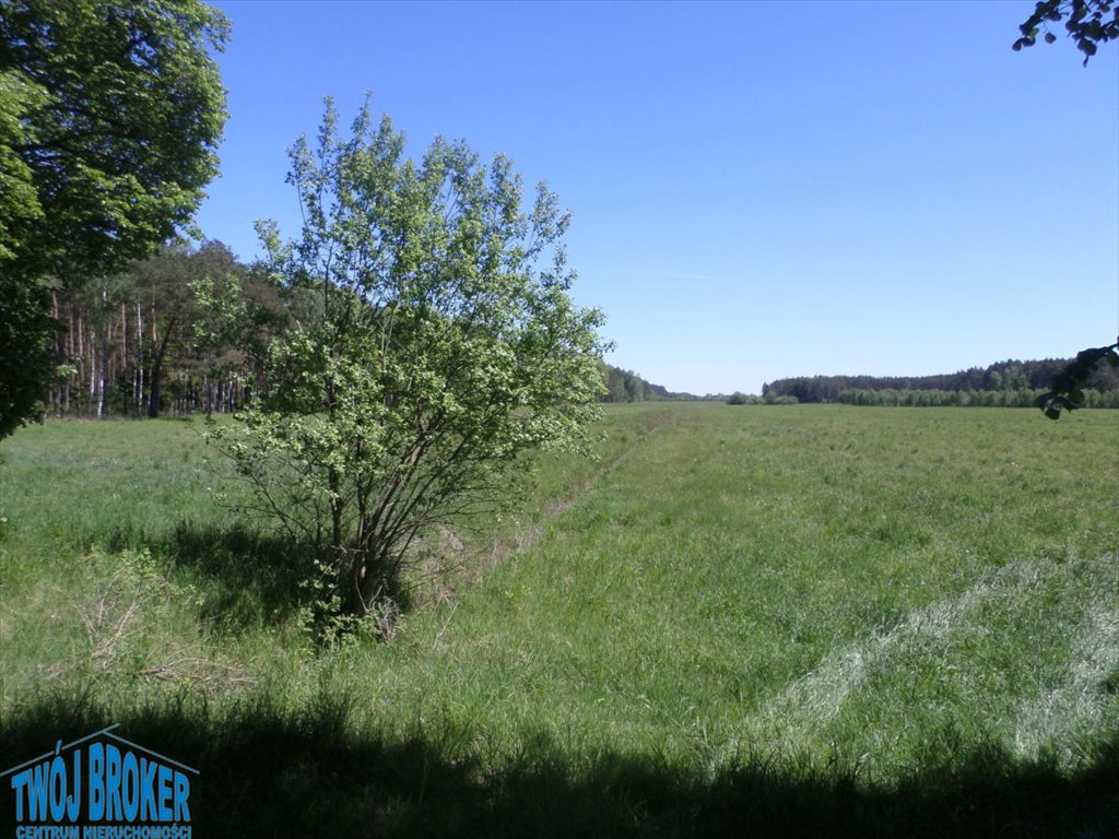 Działka rolna na sprzedaż Strzeczona, Strzeczona  206 000m2 Foto 10