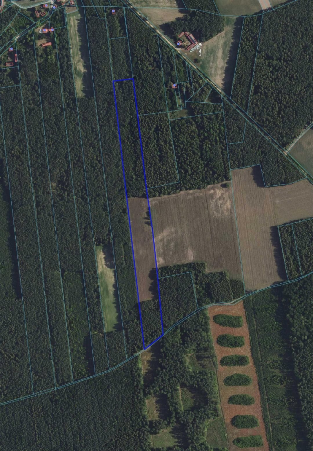 Atrakcyjna działka rolno-leśna 4,55 ha z dostępem do drogi Zielona  45 500m2 Foto 1